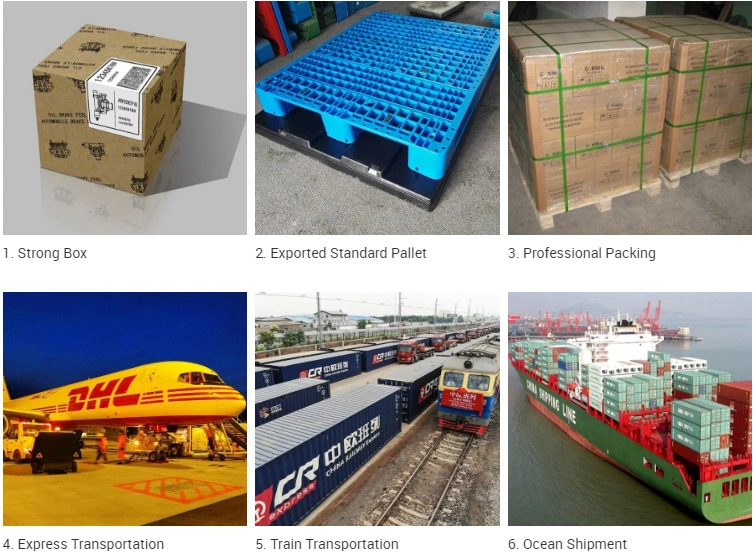Ηλεκτρικός Forklift Drive ελεγκτής 1205m-5603 μηχανών για το εμπορικό σήμα του Curtis